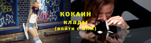 кокс Арсеньев