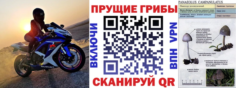 Галлюциногенные грибы MAGIC MUSHROOMS  кракен ТОР  Чернушка 