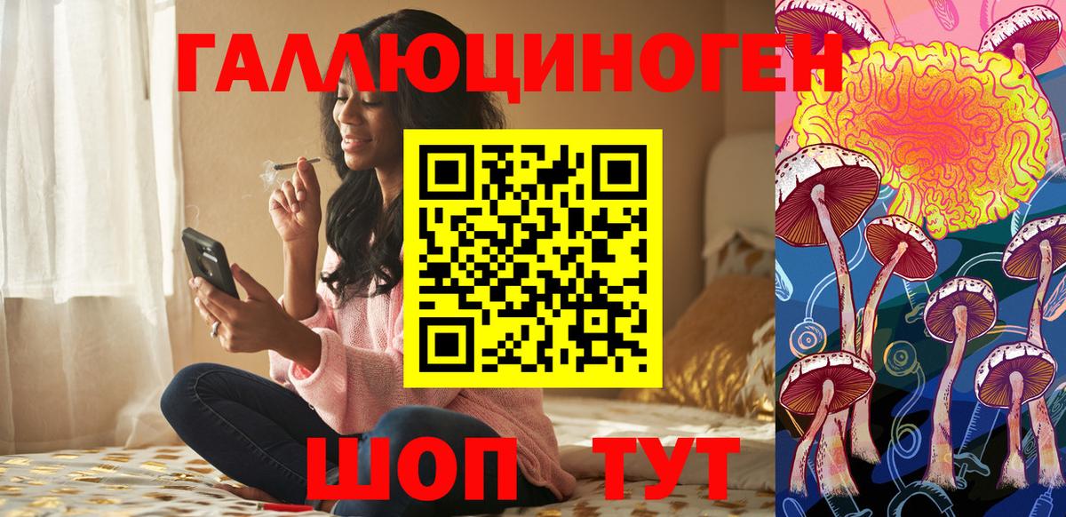 Псилоцибиновые грибы прущие грибы  Вход с VPN  Чернушка 