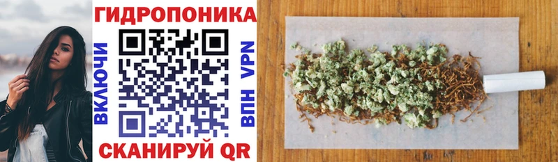 OMG ONION  что такое   Чернушка  Бошки Шишки марихуана 
