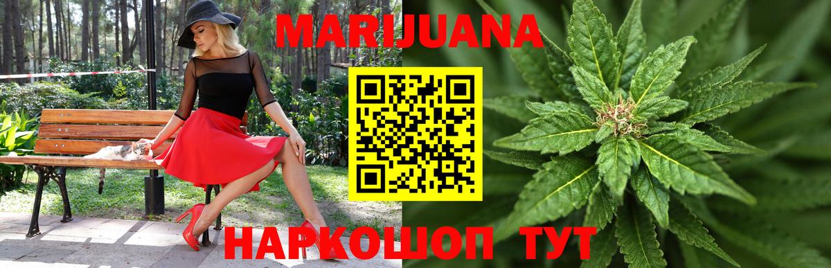 Чернушка  Марихуана планчик  Конопля SATIVA & INDICA  Бошки марихуана Ganja  Вход с VPN  Каннабис Bruce Banner 