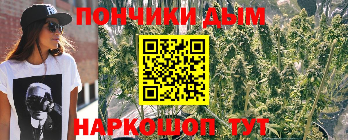 Марихуана планчик Чернушка